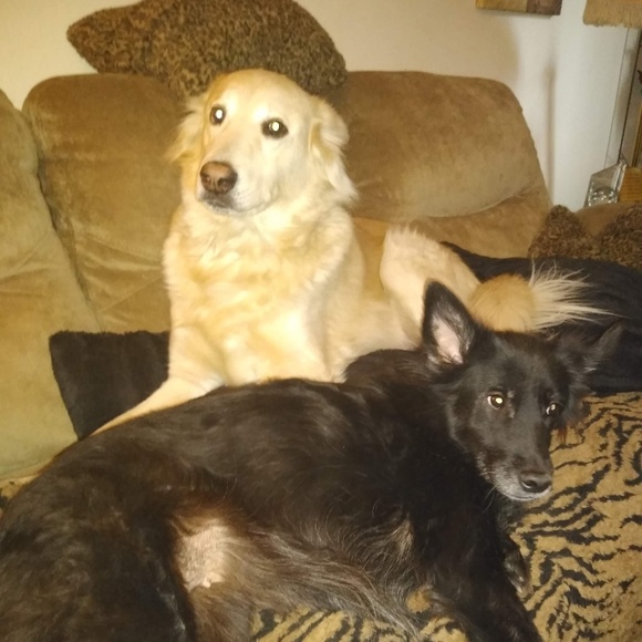 Meet your Posher, Diane - Picture 4 of 6